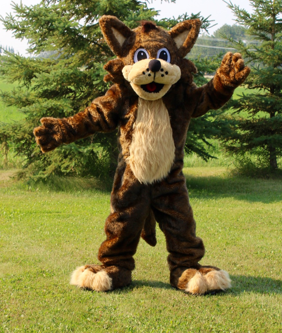 How To Clean A Mascot